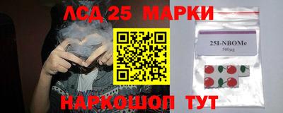 амф Шелехов
