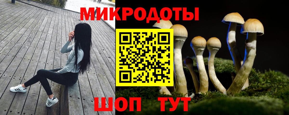 Саранск  Псилоцибиновые грибы Magic Shrooms  Вход с VPN 