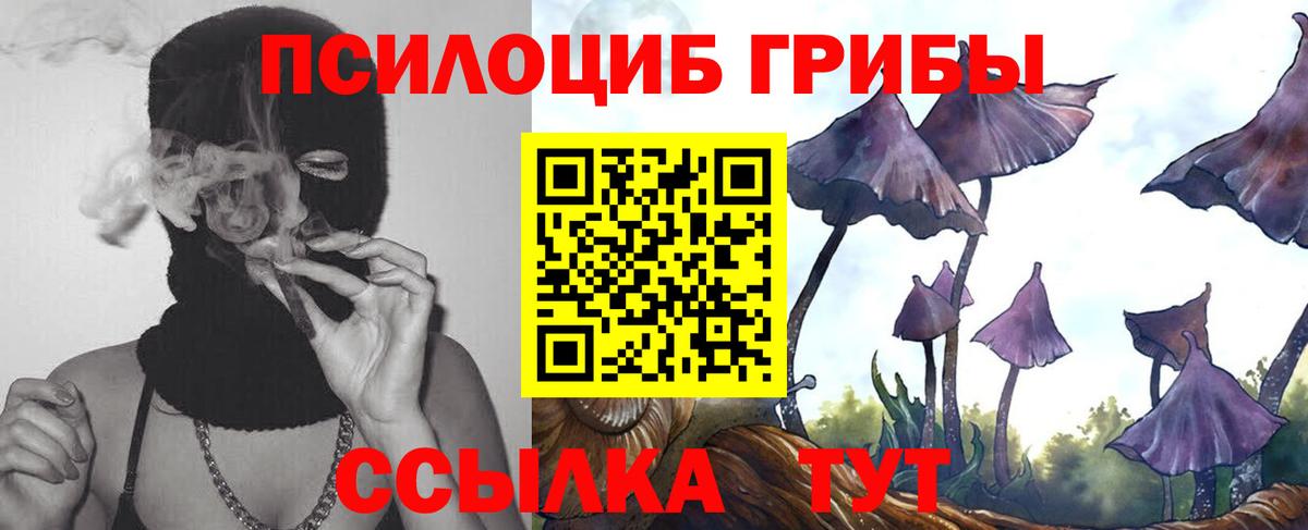 Галлюциногенные грибы ЛСД Саранск